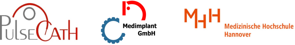 LifePulse Consortium PulseCath Hannover Medical University Medimplant